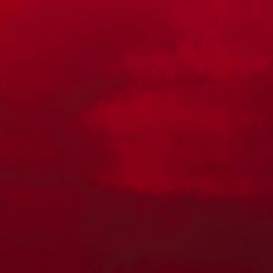 Meet your Posher, Arianna